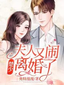 Mr. Chu, My Wife is Getting Divorced Again