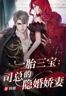 One Child, Three Treasures: Mr. Si's Secretly Married Wife