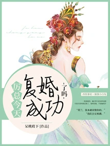 Did Mr. Li Successfully Remarry Today?