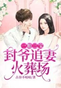 One Pregnancy and Three Treasures: Master Feng Chases His Wife to the Crematorium