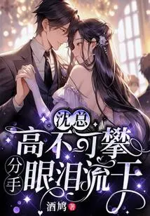 Mr. Shen is Unattainable, and the Tears Flowed Dry after the Breakup