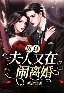 Mr. Li, My Wife is Divorcing Again