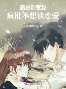 Boss, Don't Mess with Me, I Don't Want to Fall in Love