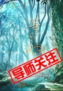 Wait Until the Wind Blows Next Year