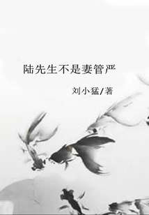 Mr. Lu is Not a Strict Wife