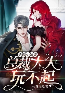 A Little Wife Comes from the Sky, but the Ceo Can't Afford It