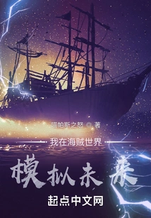 I Simulate the Future in the Pirate World