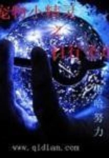 Pokemon: the Holy Path of Walking