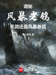 Mystery: Isn't the Old Storm Pigeon Still a Storm Old Pigeon?