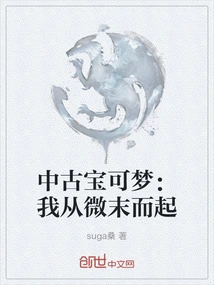 Medieval Pokémon: I Rose from the Humble Beginnings