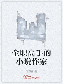 Full-time Expert Novel Writer