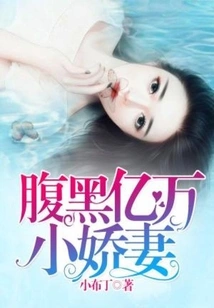 The Shady Little Billionaire Wife