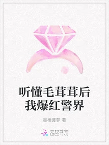 After I Understood Fuzzy, I Became Famous in the Police World