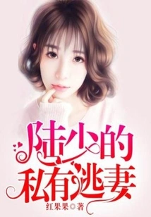 Mr. Lu's Private Runaway Wife