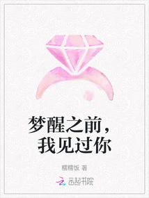 I Saw You Before I Woke up from the Dream