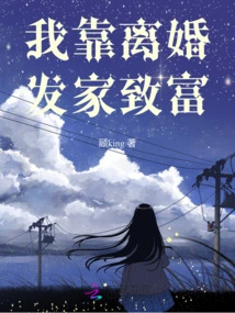 I Made a Fortune from Divorce