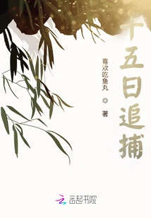 Fifteen Days of Pursuit