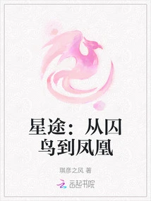 Journey to Stardom: from Bird to Phoenix