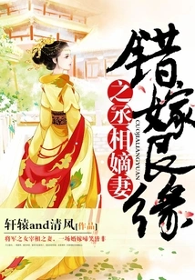 The Prime Minister's Wife Who Married by Mistake