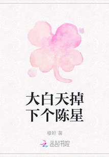 A Star Fell in Broad Daylight