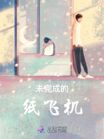 Unfinished Paper Airplane