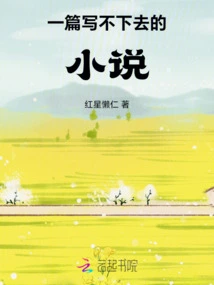 A Novel That Cannot Be Written