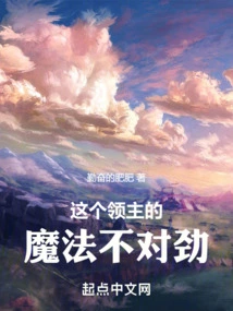 There's Something Wrong with This Lord's Magic