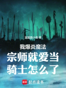 What's Wrong with Me, the Master of Explosive Magic, Who Loves to Be a Knight?