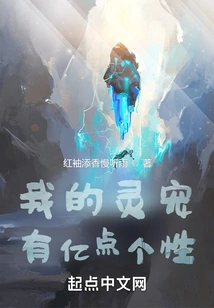 My Spiritual Pet Has 100 Million Points of Personality