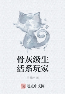 Hardcore Lifestyle Gamer