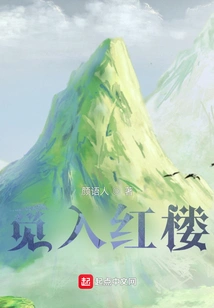 Looking into the Red Mansion