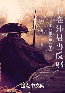 Daqin Tianxia: I Was a Rebel in Peixian County