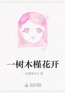 A Hibiscus Tree Blooms