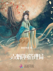 Soul Reincarnation Administration