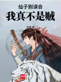 Fairy, Don't Get Me Wrong, I'm Really Not a Thief