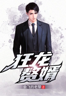 Mad Dragon Son-in-law