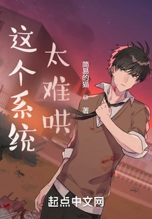 This System is Too Difficult to Use