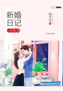 Memoirs of a Newlywed Diary