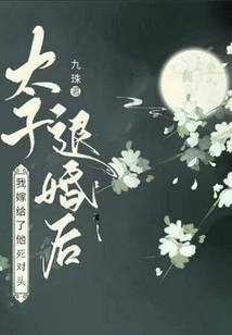 After the Prince Broke Off the Engagement, I Married His Nemesis