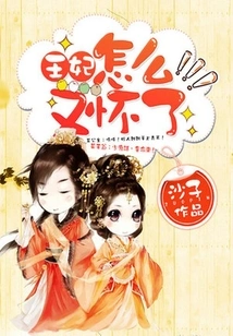 Princess, Why Are You Pregnant Again?