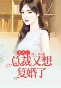 Madam, the Ceo Wants to Remarry Again