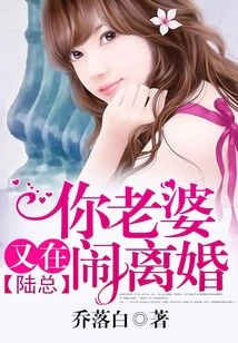 Mr. Lu, Your Wife is Divorcing Again