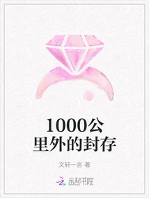 Storage 1000 Kilometers Away