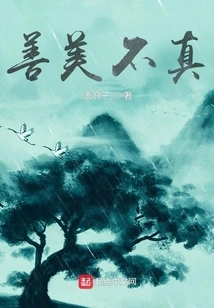 Good and Beautiful Are Not True