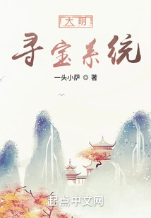 Daming Treasure Hunting System