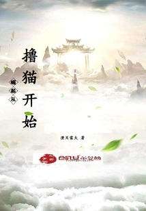 The Rise Starts from Playing with Cats