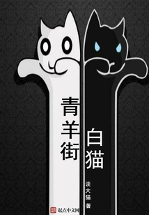 Qingyang Street White Cat