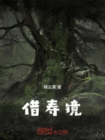 Borrow Longevity Mirror