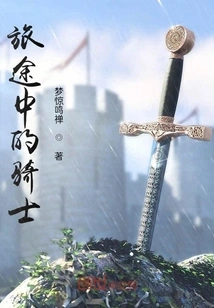 Knight on the Journey