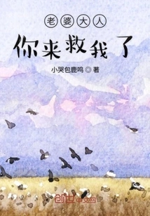 Wife, You Came to Save Me